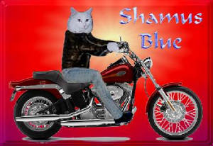 shamusredbike.jpg