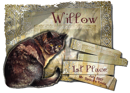 willow1st0707.gif